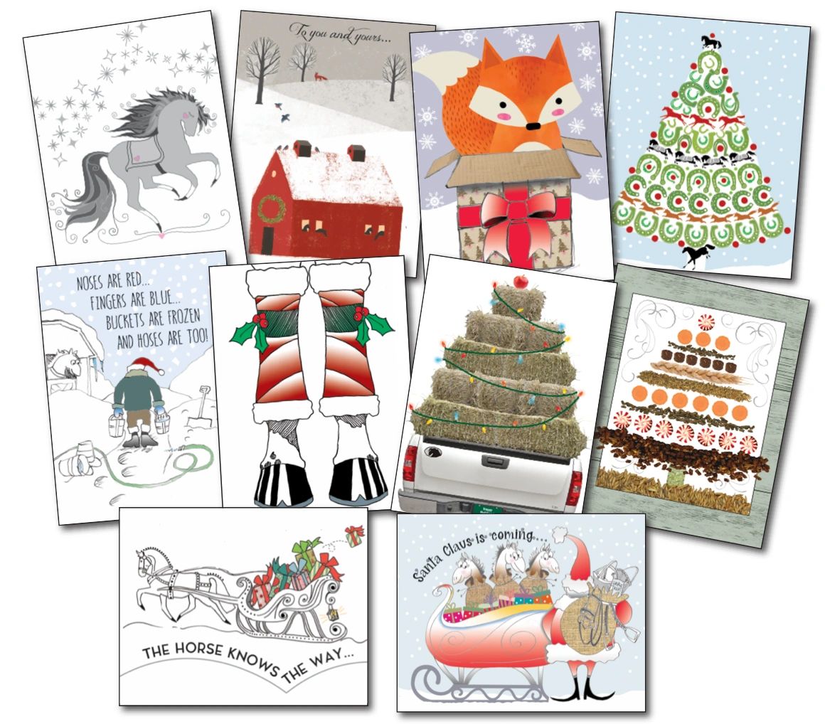 48 Assorted New and Bestselling Christmas Cards. Item RP48 XMAS Cards